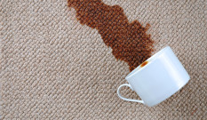 Carpet Cleaning