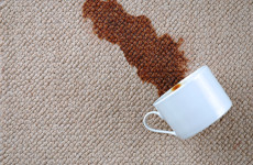 Carpet Cleaning